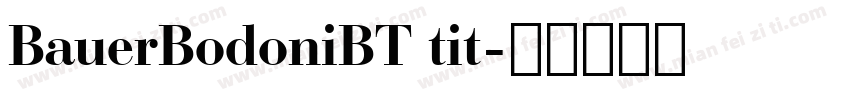 BauerBodoniBT tit字体转换